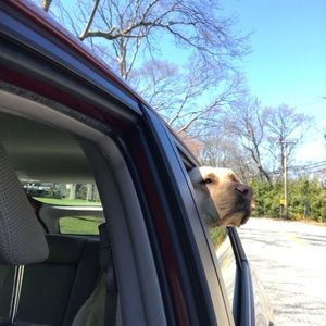 Meet your Posher, Beth